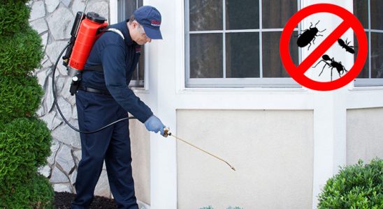 Çat Kemirgen İlaçlama böcek ilaçlama ve haşere kontrolü — ilaclama-tr.com
